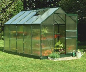 GREEN POPULAR 10ft x 6ft GREENHOUSE TOUGHENED